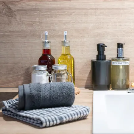 Serbie - Design Et Climatises En Centre Apartamento Vichy